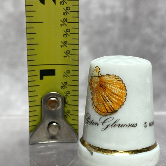 Porcelain Thimble Gold Trim & Scallop Shell Design Pecten Gloriosus By Agiftcorp - Picture 10 of 10